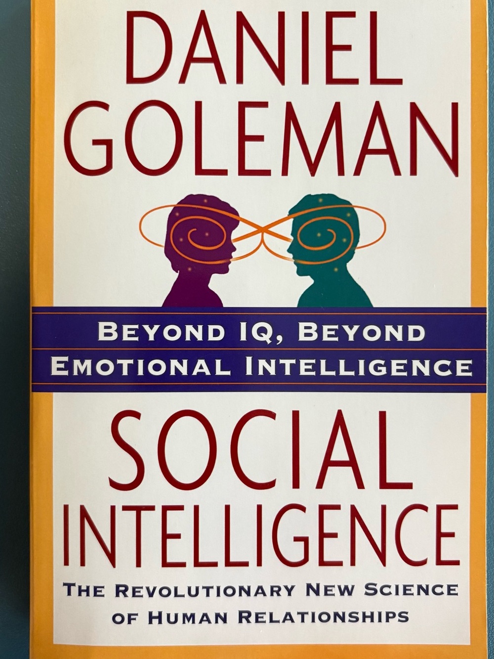 Daniel Goleman Social Intelligence Wall Art - Multicolor